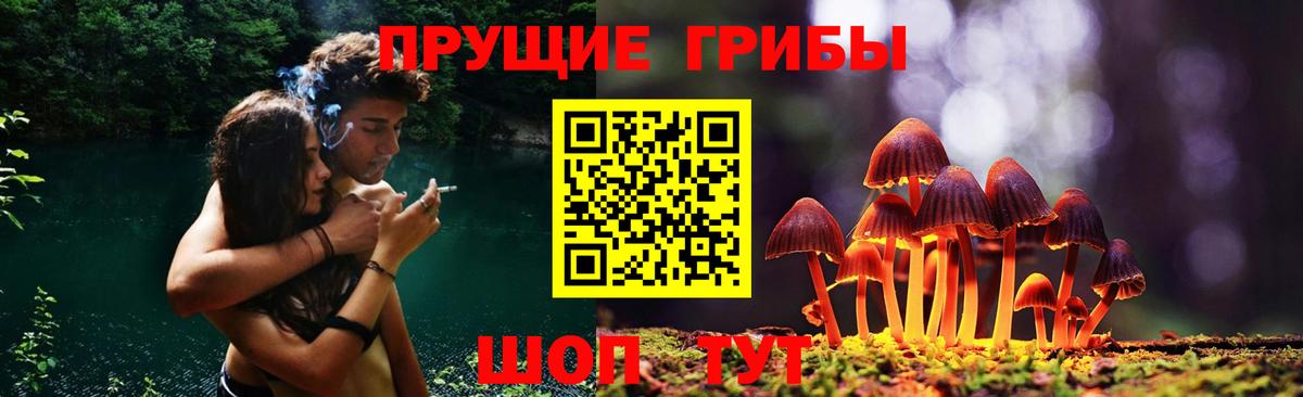Псилоцибиновые грибы мухоморы  Вход с VPN  Рубцовск  Галлюциногенные грибы мухоморы 